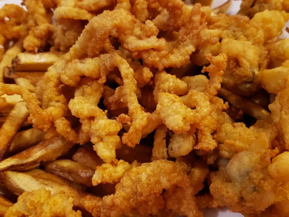Full Bellied Clams